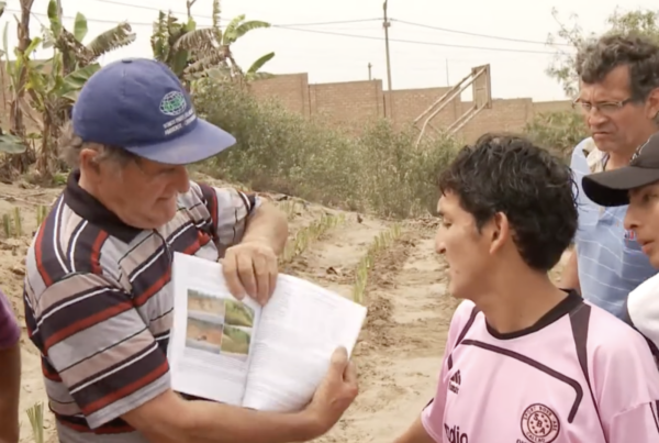 Grüne Wüste Peru e.V.