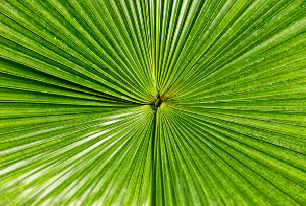 Naturfotografie
